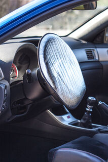 steering wheel protector