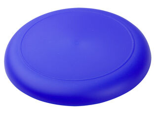 frisbee 4. picture